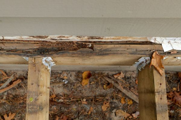 Staten Island Wood Rot Repair