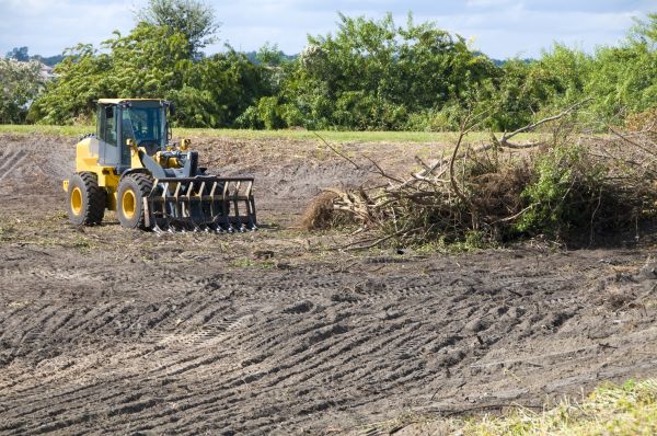 Staten Island Land Clearing