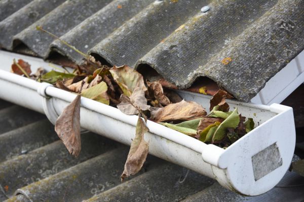 Staten Island Gutter Cleaning